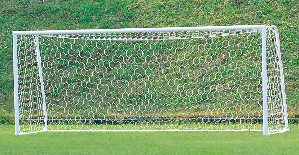 エバニュー サッカーゴールオールアルミ 10 Tres Japan